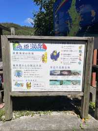 奄美大島　自然のトンネルの先にある絶景🏝️