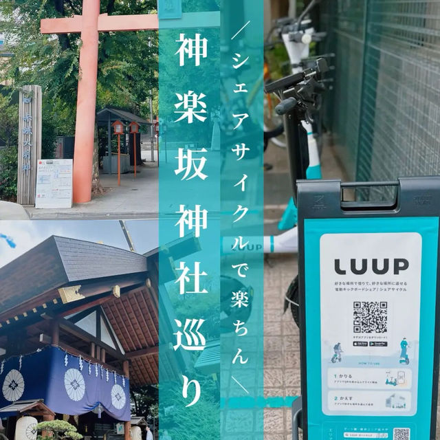 【神楽坂⛩️】シェアサイクル「LUUP」で神社巡りプラン🎋