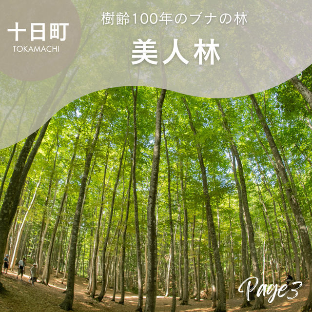 新潟　夏の絶景旅！