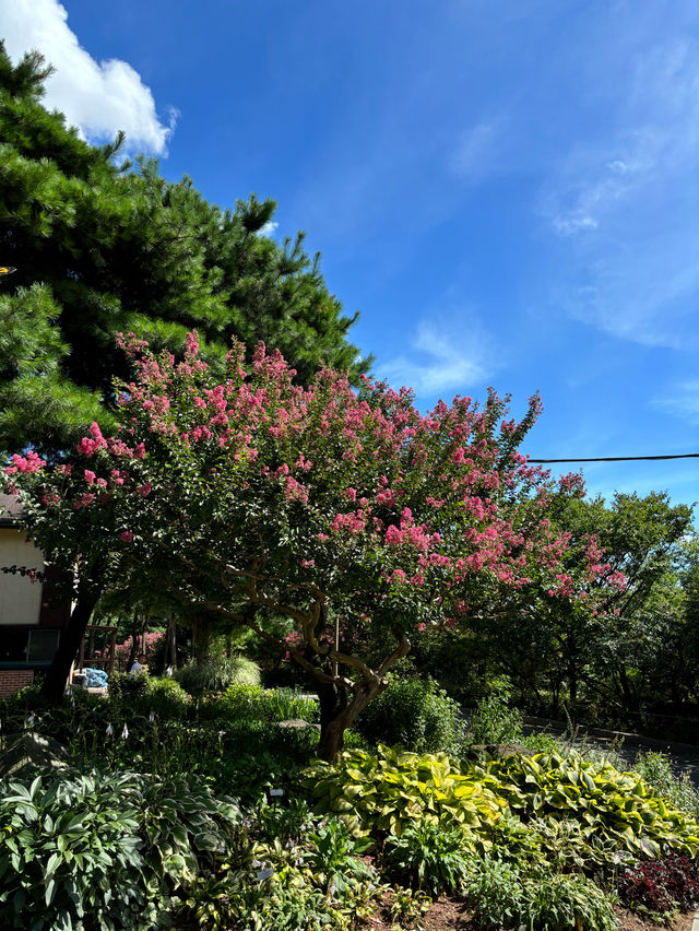 가족들과 여름휴가 가기 좋은 전주 수목원😄