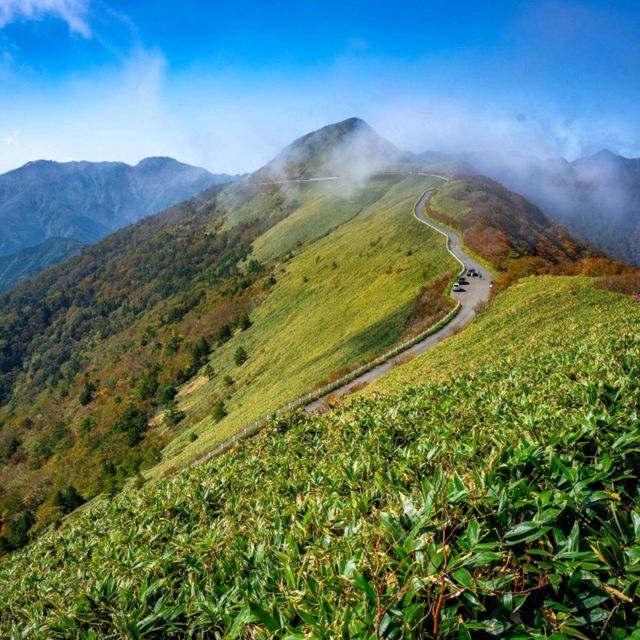 The pilgrimage route