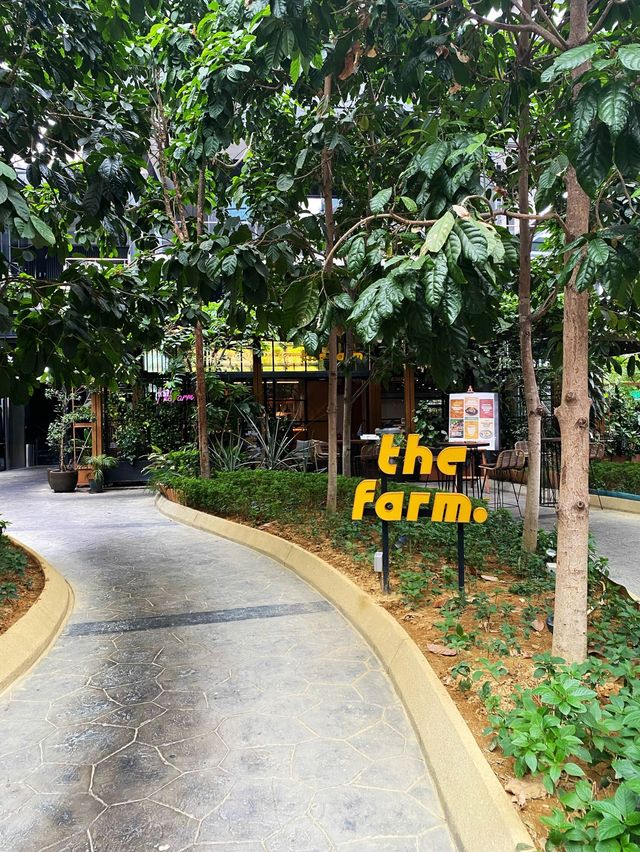 Oh Bangsar South KL had a farm 🌾👩🏻‍🌾👨🏻‍🌾