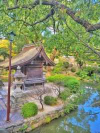 후쿠오카 근교 여행 필수코스! 다자이후 천만궁⛩️
