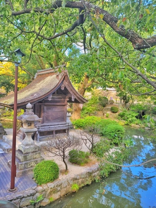 후쿠오카 근교 여행 필수코스! 다자이후 천만궁⛩️