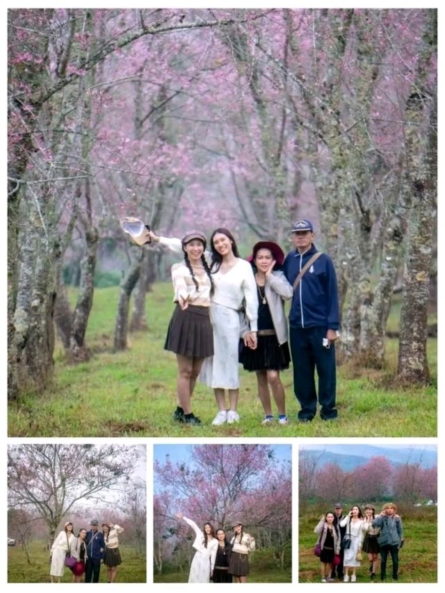 One Day Trip : บ้านร่องกล้า-ภูหินร่องกล้า