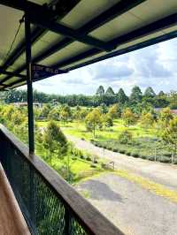 The Charm of Mu Mu Farm Cafe