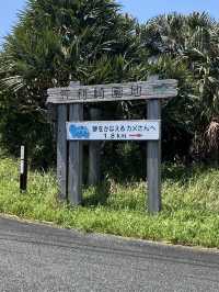【奄美】大事に守られてきた海
