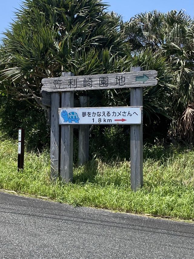 【奄美】大事に守られてきた海