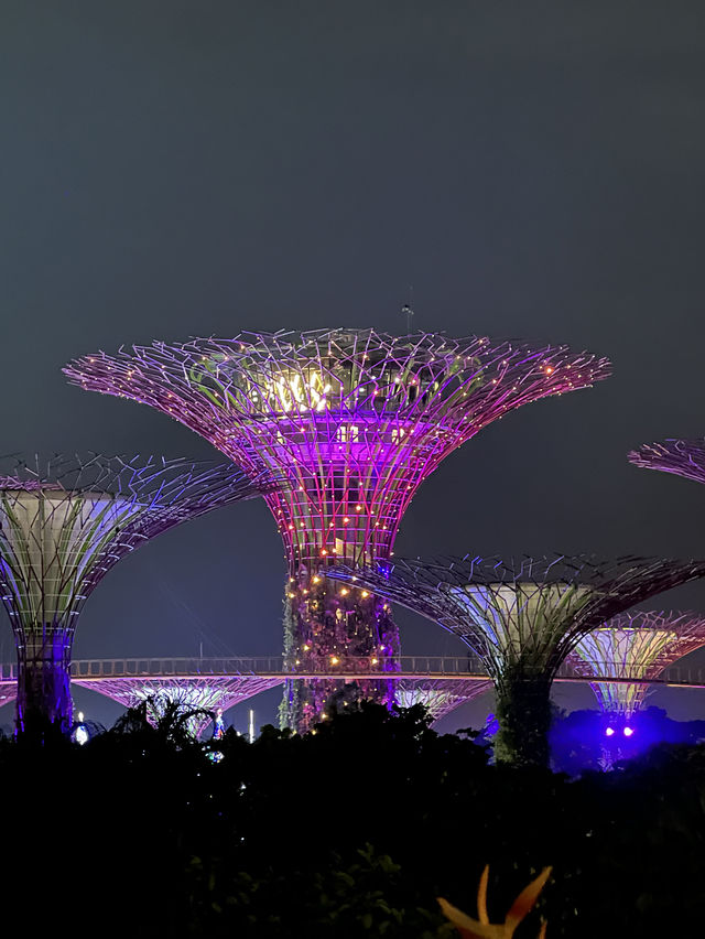 Gardens by the Bay at Night is not to be missed! 🇸🇬✨