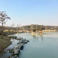 虎跑公園～中式園林之美
