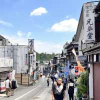 Narita Japan attraction 