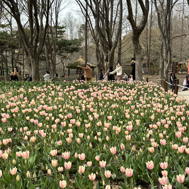 푸릇푸릇한 자연속의 쉼터 인천대공원🏞️
