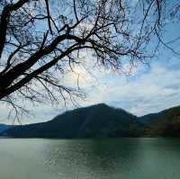 Enchanting Nami Island: A Serene Escape