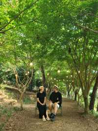 여름꽃 즐기며 산책하기좋은 장성 루몽드수목원💚