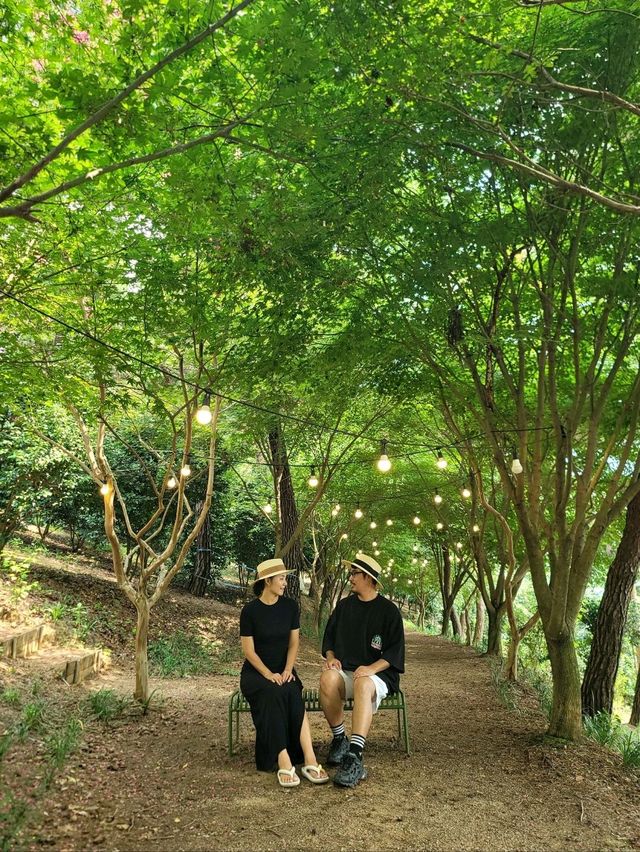 여름꽃 즐기며 산책하기좋은 장성 루몽드수목원💚