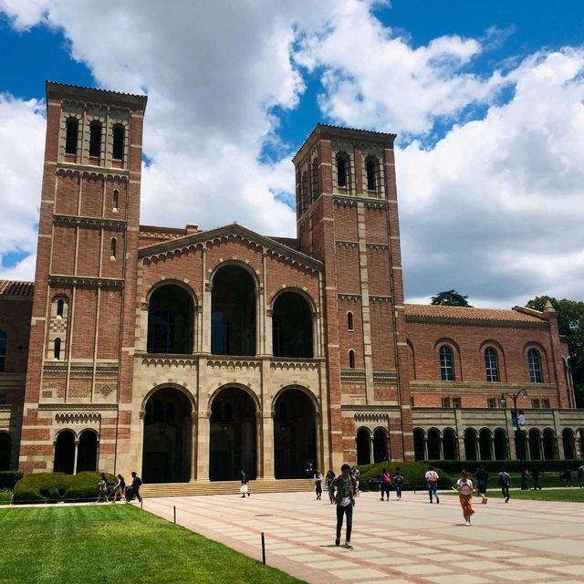 미국의 캠퍼스 생활을 느낄 수있는 , UCLA 대학교🏫