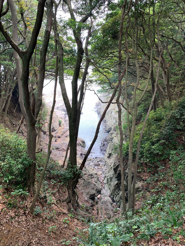 숲과 바다를 함께 볼 수 있는 여수 오동도 동백섬