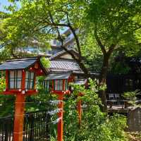 Akamine Camping Ground：綠意滿溢，親近自然的露營樂趣