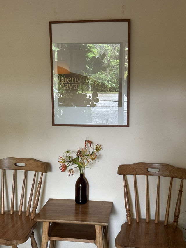 คิดถึงวิทยา Coffee | จ.เชียงใหม่ 🏡🌿☕️🌧️