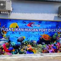 🇲🇾 Explore a World of Fish Wonders at Port Dickson