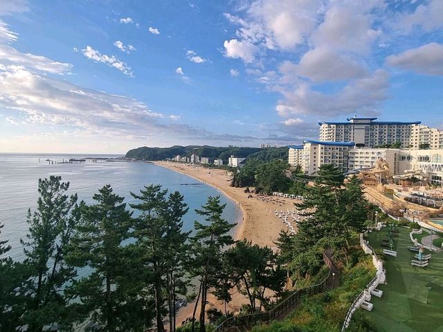 여름휴가로 가기 알맞은 쏠비치 삼척