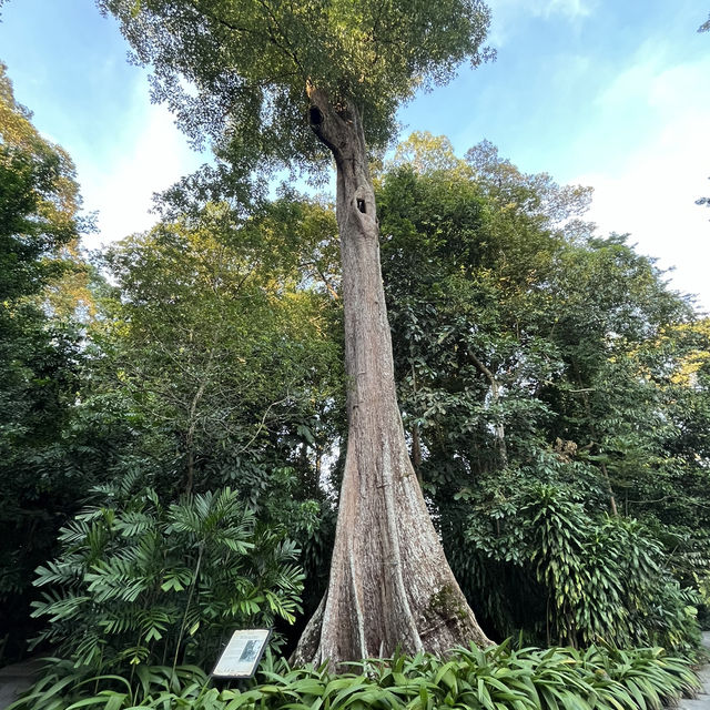 The joy of music and serenity of gardens