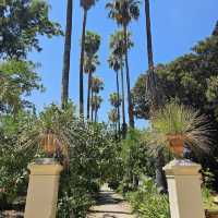 Discover Nature’s Beauty at Palermo Botanical Gardens