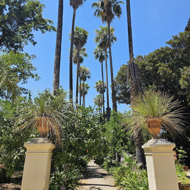 Discover Nature’s Beauty at Palermo Botanical Gardens