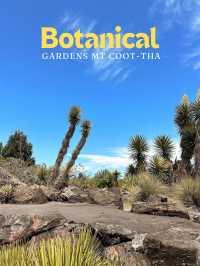 Botanical Gardens Mt Coot-tha 