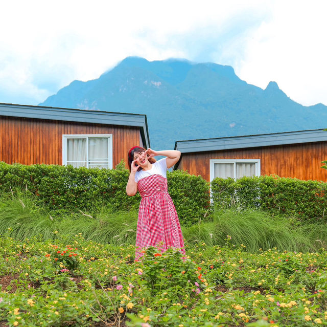 ⛰️💚 ฤดูภูเขา เชียงดาว จ.เชียงใหม่