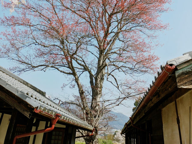 Old Yamamoto Kinehara Schoolhouse 
