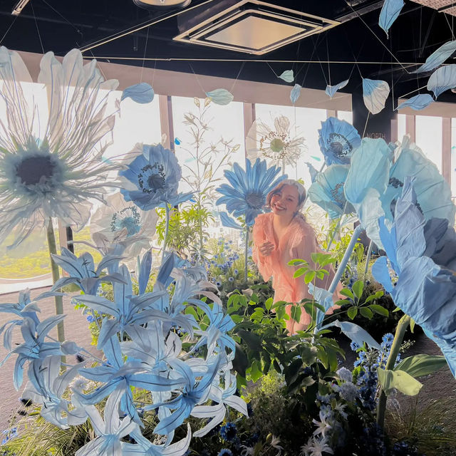 [渋谷]天空の小さな世界✨期間限定のお花畑間に合いました🌼