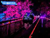 北海道賞楓-如詩如畫的定山溪二見吊橋