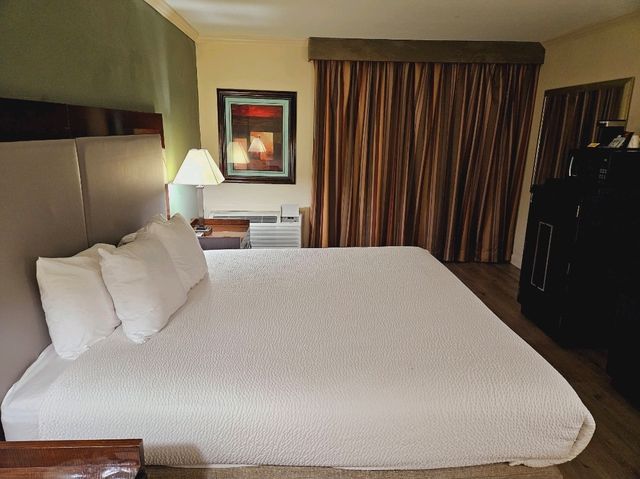 Stay here if you want some place nearby George Bush Intercontinental Airport