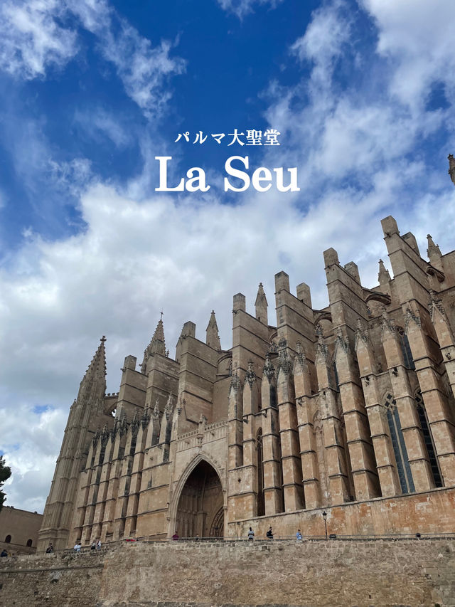 【スペイン/マヨルカ島】ヨーロッパのリゾート地に行ってみた！🏝️🌺ば