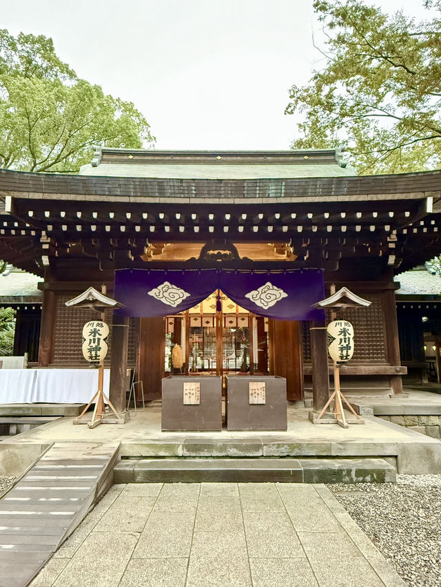 【埼玉県】秋色が展開する一年安鯛みくじ
