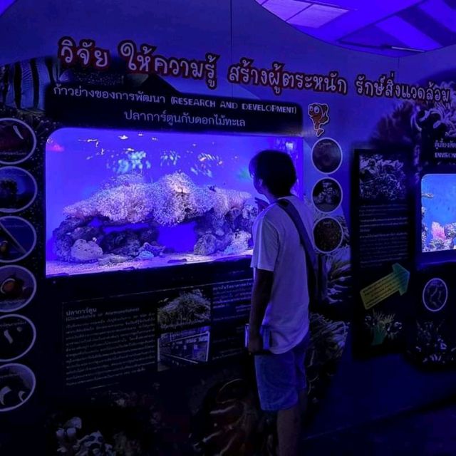ท่องโลกใต้น้ำ อะควาเรียม บางแสน🪼