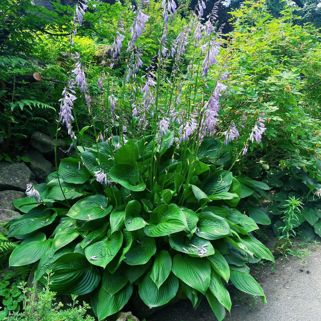 家園植物園：綠意自然樂園 🌿🌼
