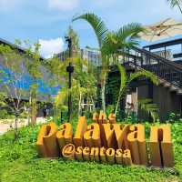 The Palawan