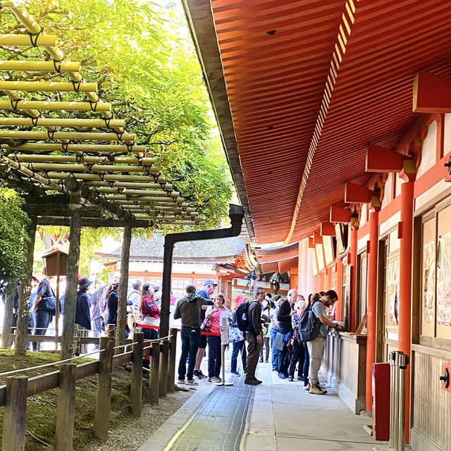 奈良°ㅣ原始森林中的千年神社ㅣ被鹿包圍的春日大社