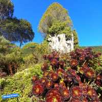 Larnach Castle Garden's Timeless Charm