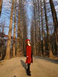 Nami Island 