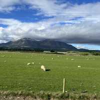【NZ】テアナウで少し休憩☕️