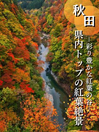 【秋田】從橋上眺望的紅葉景色令人嘆為觀止 東北首屈一指的紅葉景點※附攻略