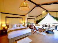Te Mata Glamping