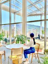 식물원에 온 듯한 루프탑 카페🌿