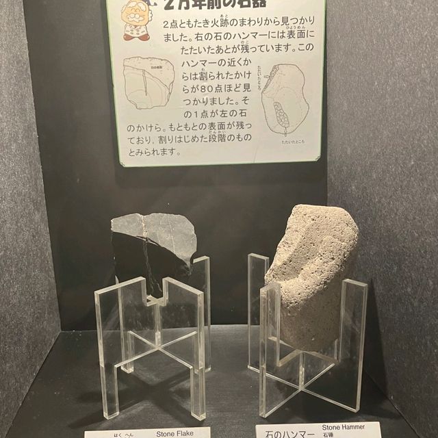 仙台景點｜全世界唯一可見冰河時期森林遺蹟博物館—地底之森博物館(仙台市富澤遺跡保存館)