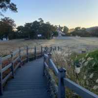Namsan Park ในฤดูใบไม้เปลี่ยนสี