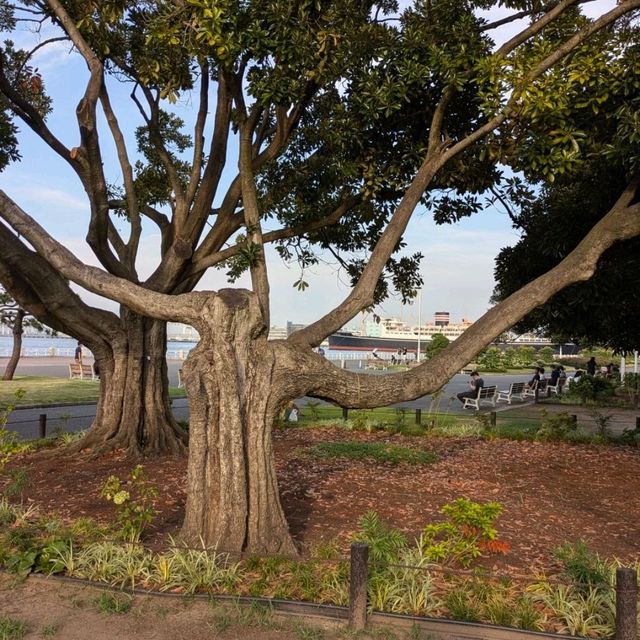 ヨコハマ☆山下公園