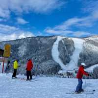 Nozawa Onsen